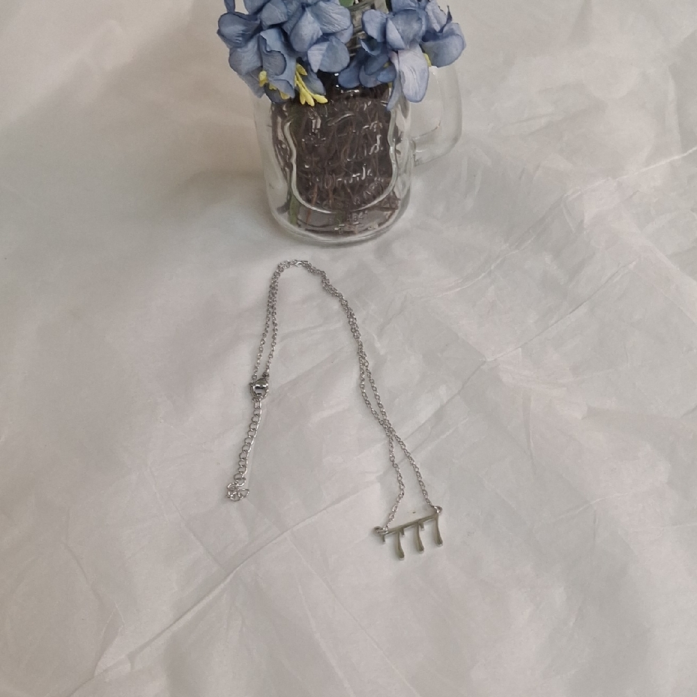 Elegant Stainless Steel